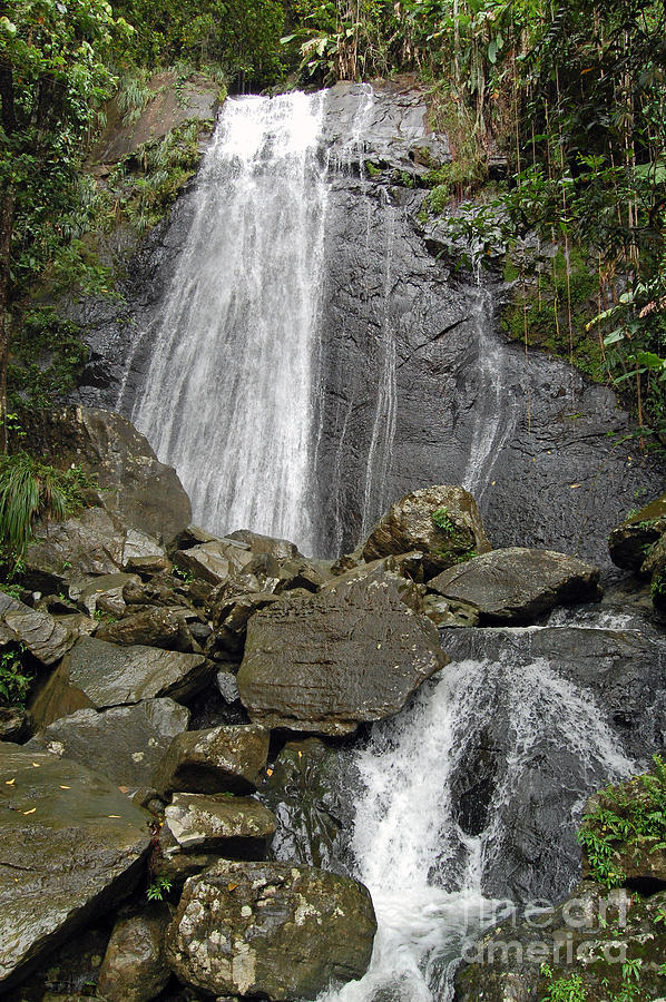 La Coca Falls El Yunque National Rainforest Puerto Rico Prints Photograph by Shawn OBrien