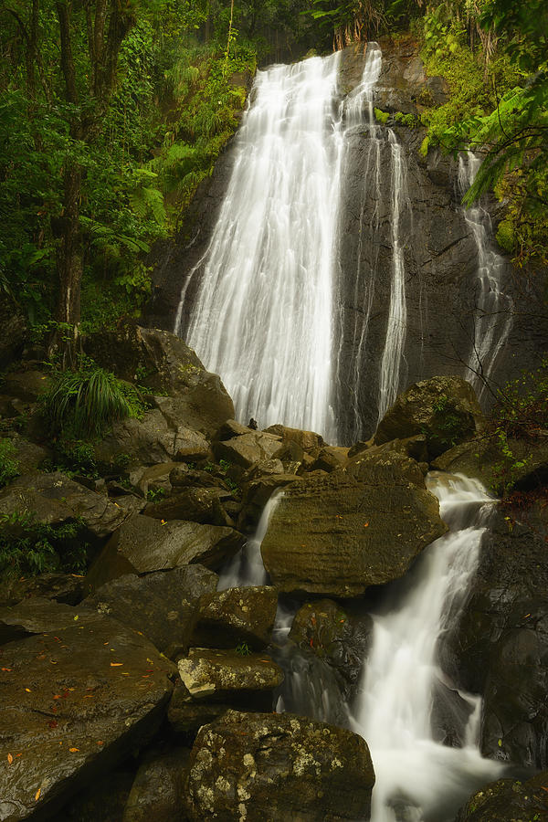 El Yunque National Forest Photograph - La Coca Falls  by Photography  By Sai