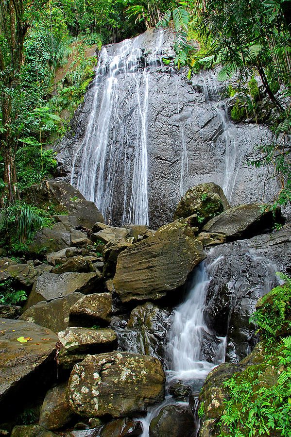 La Coca Falls Puerto Rico Photograph by Alan Lenk