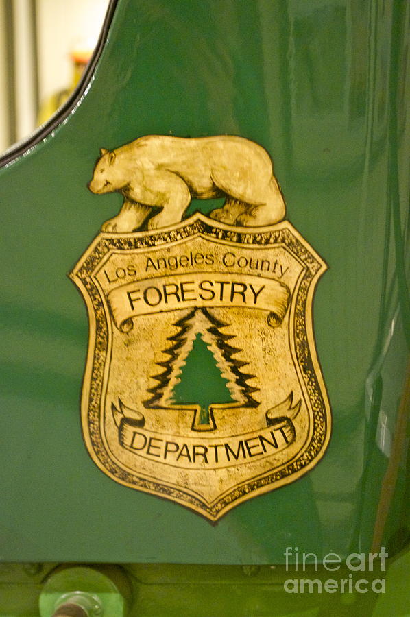 LA Forestry Department Emblem Photograph by Pamela Walrath