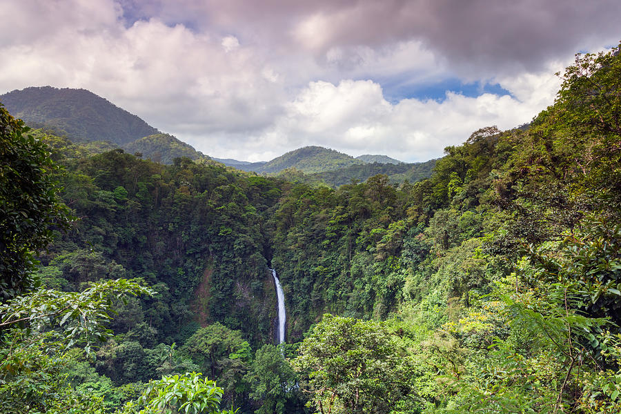 La Fortuna waterfall in the green rainforest of Costa Rica Photograph by Matteo Colombo