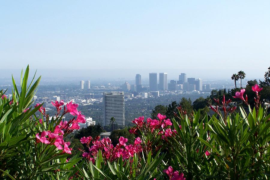 L.A. from Beverly Hills Photograph by Dany Lison
