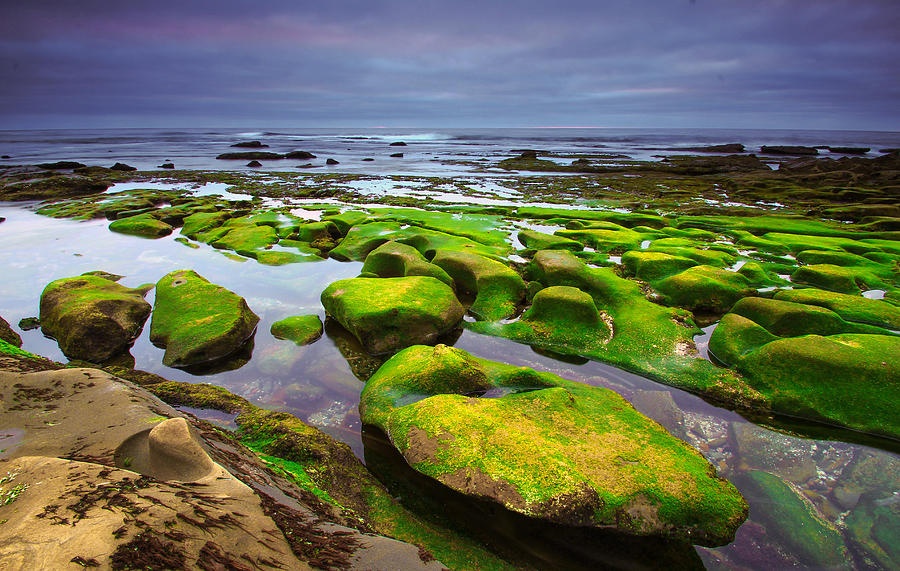 La Jolla Photograph - La Jolla California by Robert Aycock La Jolla Photograph - La Jolla California by Robert Aycock