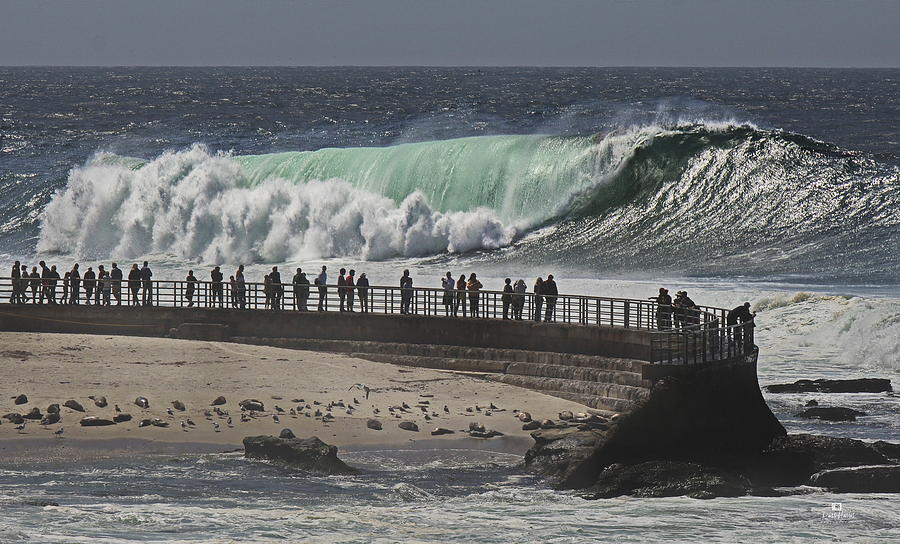 La Jolla Monster Surf Photograph
