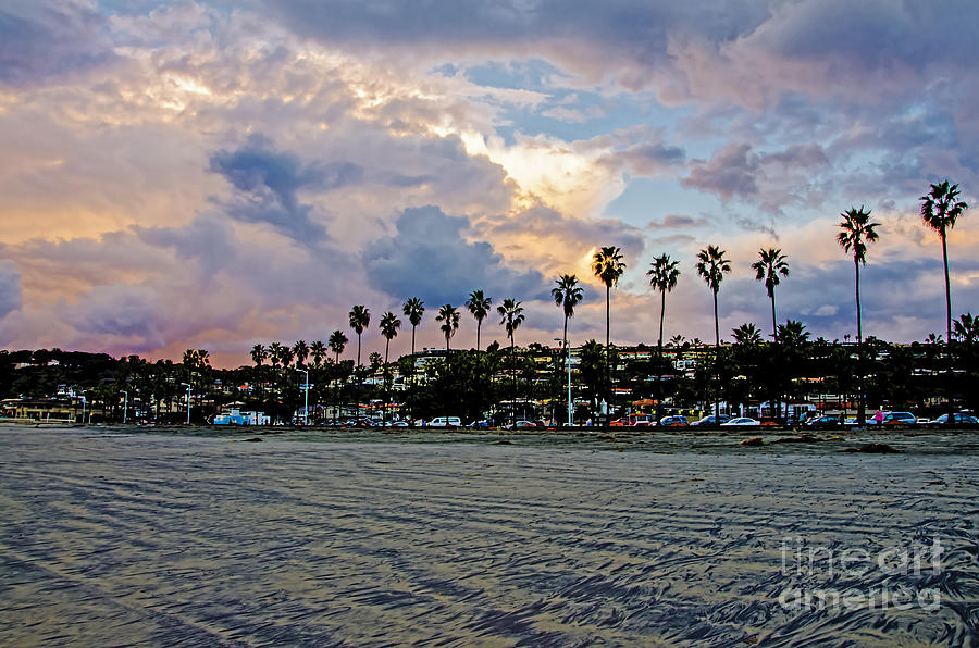 La Jolla Palms Photograph by Baywest Imaging