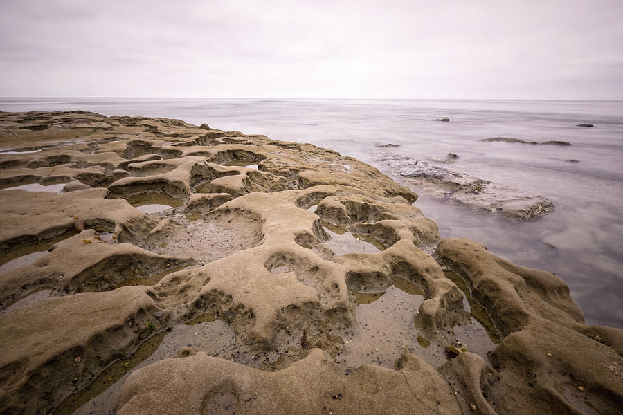 San Diego Photograph - La Jolla Tide Pools by Tanya Harrison