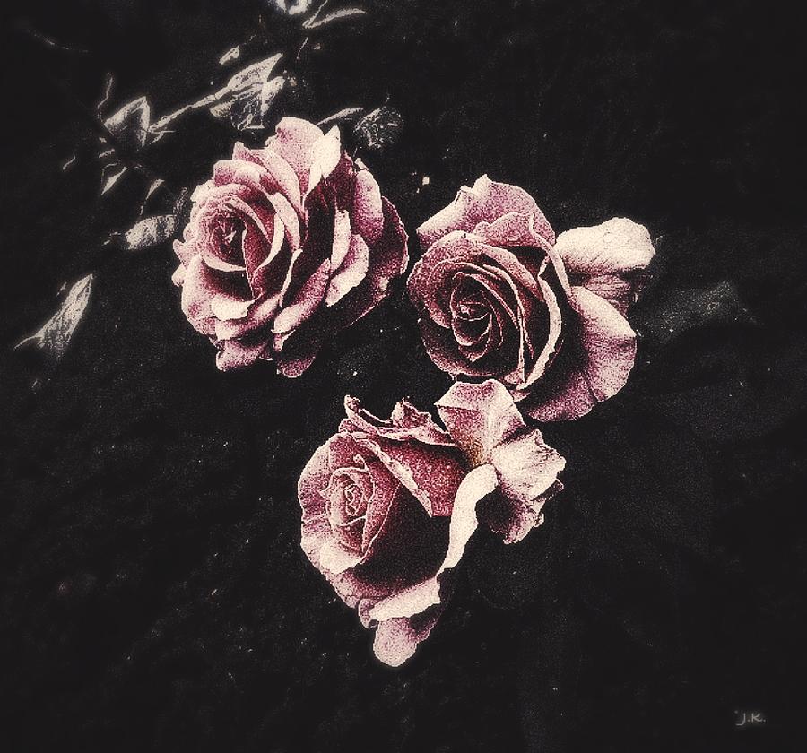 Rose Photograph - Le langage des fleurs by Jennifer Kuehne
