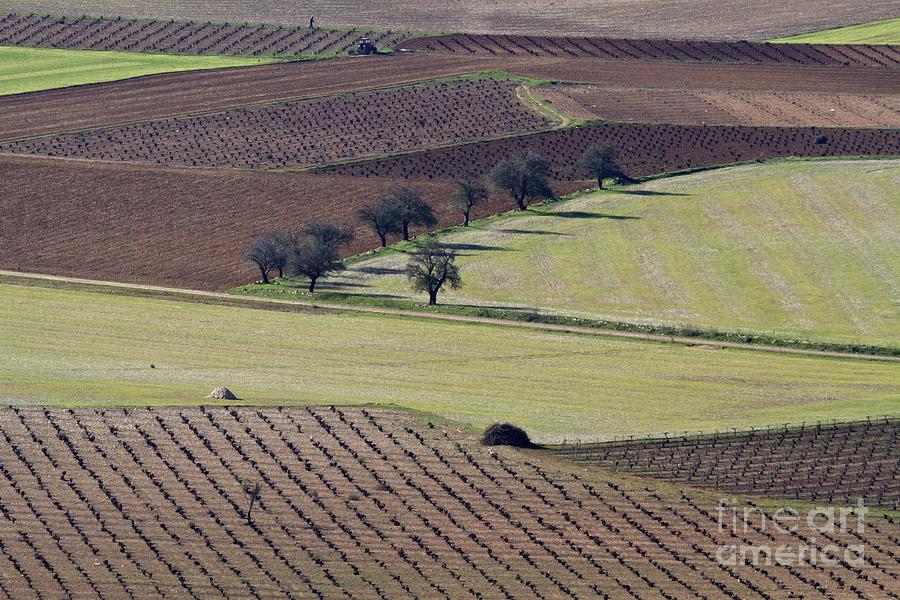 La Mancha Landscape - Spain Series-cinco Photograph