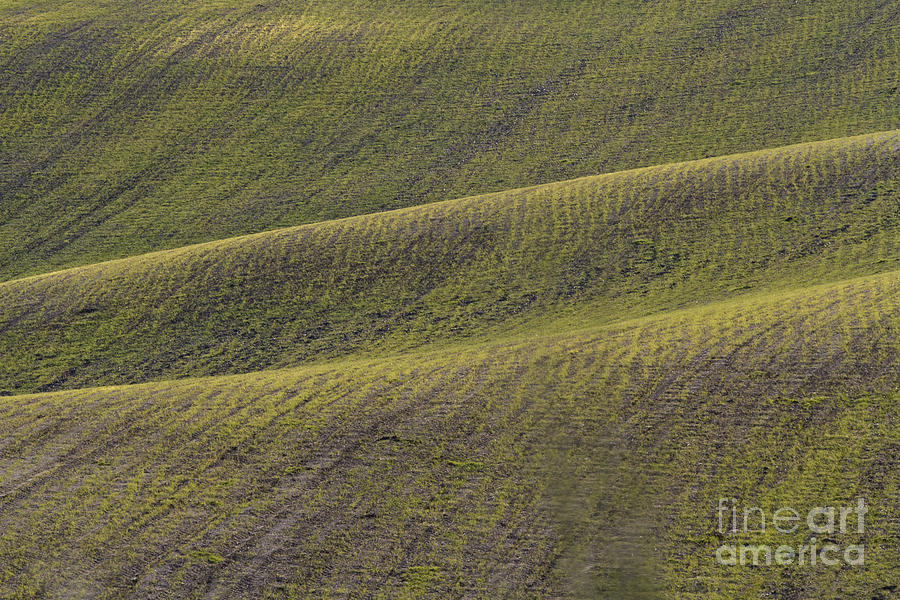 La Mancha Landscape - Spain Series-dos Photograph by Heiko Koehrer-Wagner