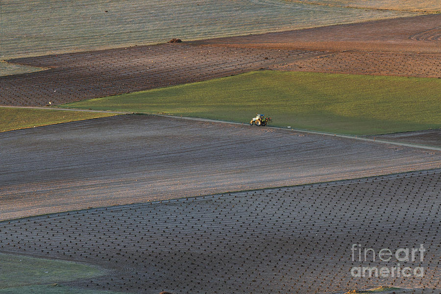 La Mancha Landscape - Spain Series-siete Photograph by Heiko Koehrer-Wagner