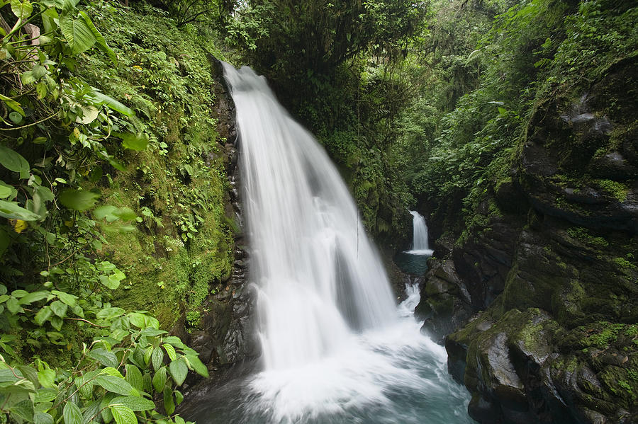 La Paz Waterfalls In Rainforest Costa Photograph by Konrad Wothe