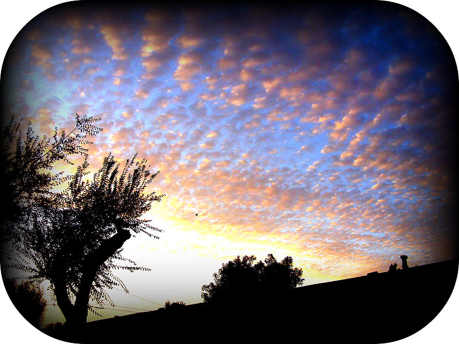 Nature Photograph - La Puente Sunset by Misty Herrick Nature Photograph - La Puente Sunset by Misty Herrick