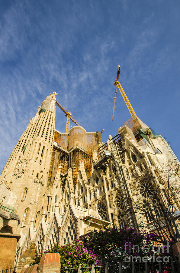 La Sagrada Familia A Work In Progress Photograph by Deborah Smolinske