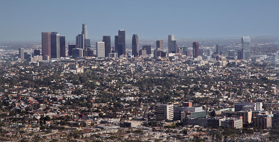 LA Skyline Photograph by Jack Nevitt