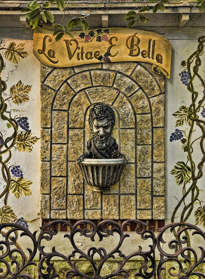 La Vitae E Bella Photograph by Robert Culver