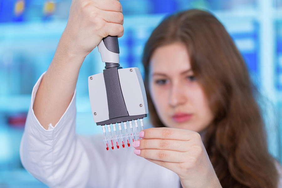 Lab Assistant Holding Multi Pipettes Photograph By Wladimir Bulgar Fine Art America