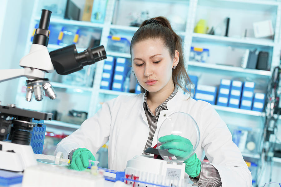 Lab Assistant Using A Centrifuge Photograph by Wladimir Bulgar