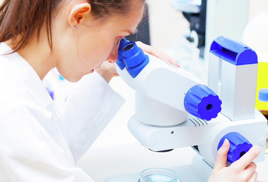 Lab Assistant Using Microscope Photograph by Wladimir Bulgar | Pixels