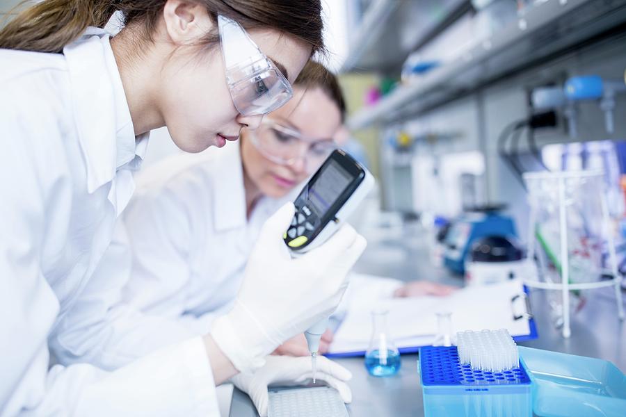 Lab Assistants Using Pipette By Science Photo Library