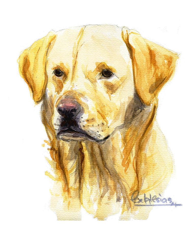 Labrador Painting by David Iglesias - Fine Art America