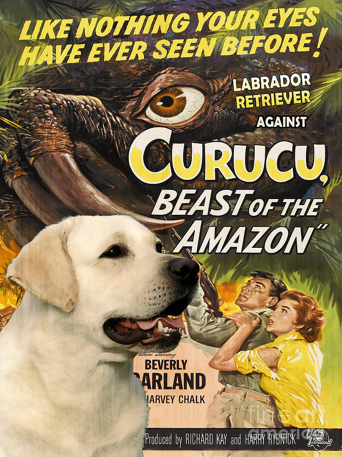 Labrador Retriever Art Canvas Print - Curucu Movie Poster Painting by Sandra Sij