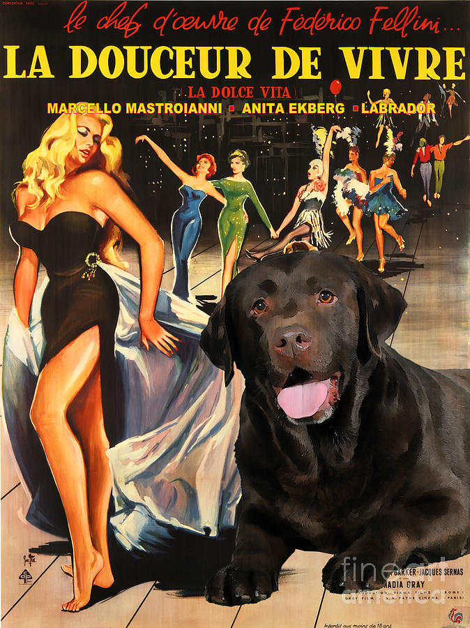 Labrador Retriever Art Canvas Print - La Dolce Vita Movie Poster Painting by Sandra Sij