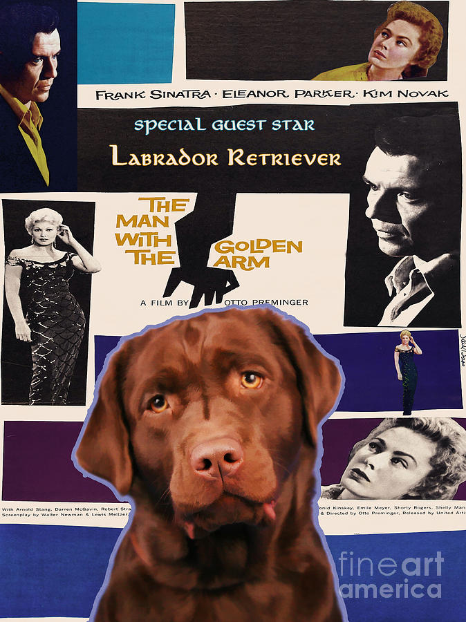 Labrador Retriever Art Canvas Print - The Man with the Golden Arm Movie Poster Painting by Sandra Sij