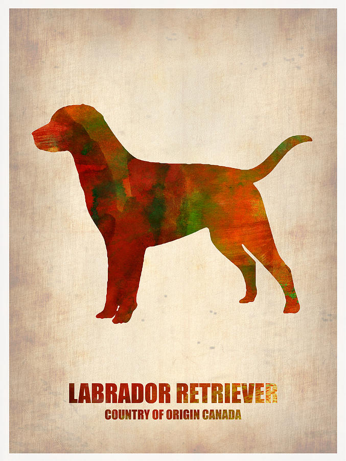 Labrador Retriever Painting - Labrador Retriever Poster by Naxart Studio