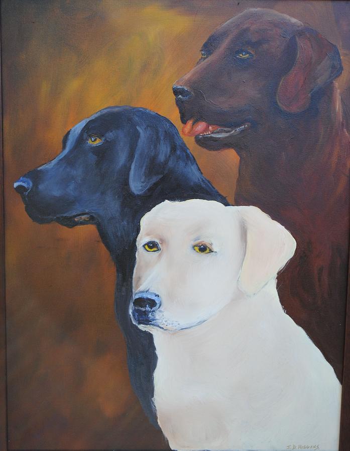 Dog Painting - Labrador Trio by James Higgins