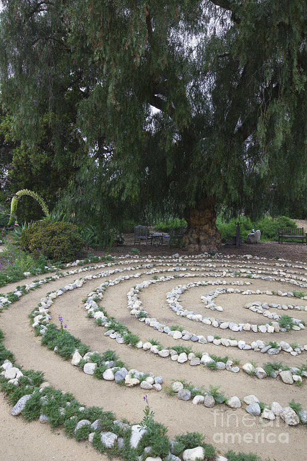 Labyrinth - Arlington Gardens Pasadena California Photograph by Ram Vasudev
