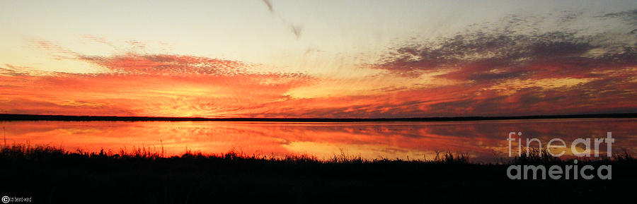 Lacassine Panarama Photograph by Lizi Beard-Ward