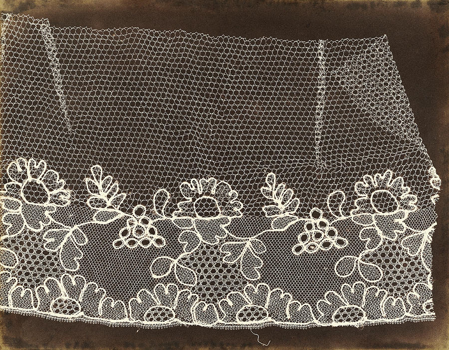 Lace By Talbot Photograph by The Getty/science Photo Library