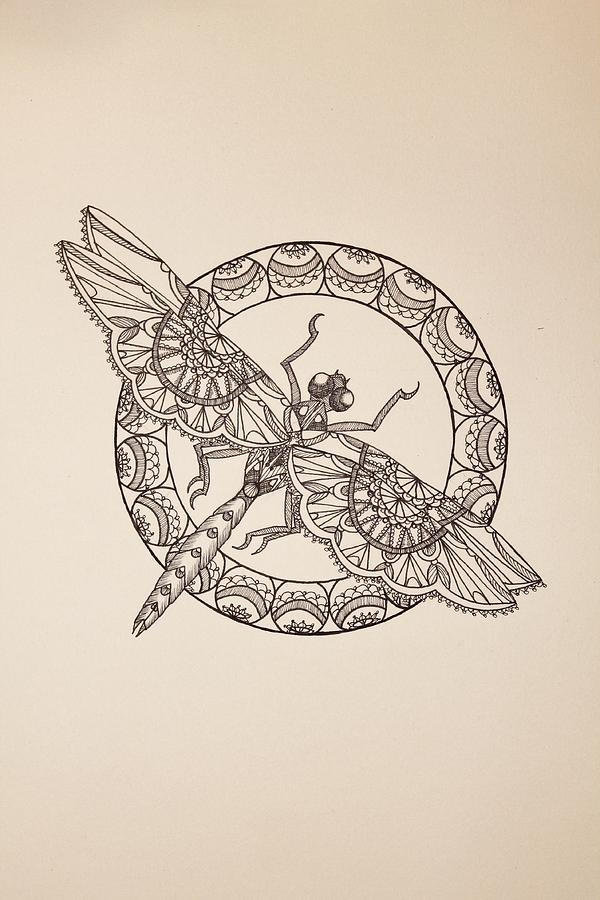 Lace Dragonfly II Drawing by Jodi Harvey-Brown