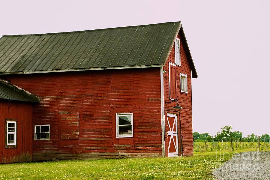 Lacey Magruder Barn Photograph by William Norton