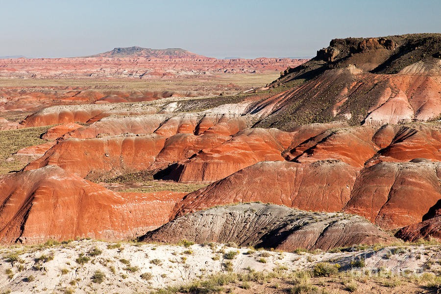 Lacey Point Painted Desert Petrified Forest National Park Photograph by Fred Stearns