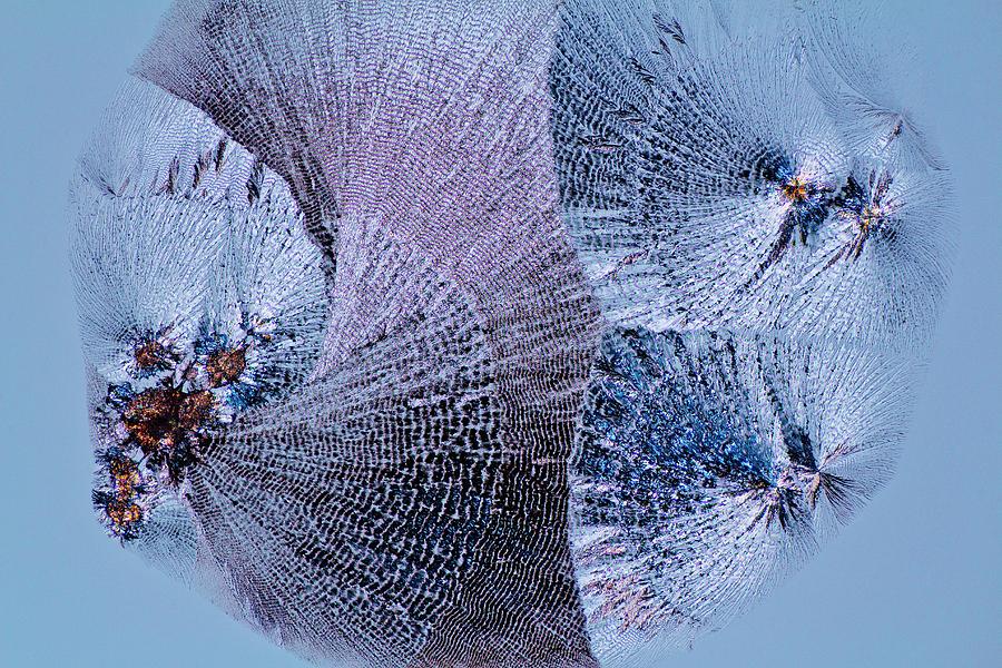 Biochemical Photograph - Lactose Crystals by Antonio Romero
