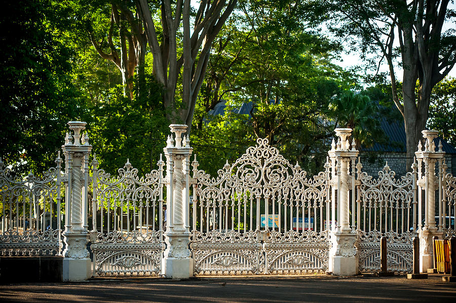 Tree Photograph - Lacy Gates and Fence of the Pamplemousse Botanical Garden. Mauritius by Jenny Rainbow