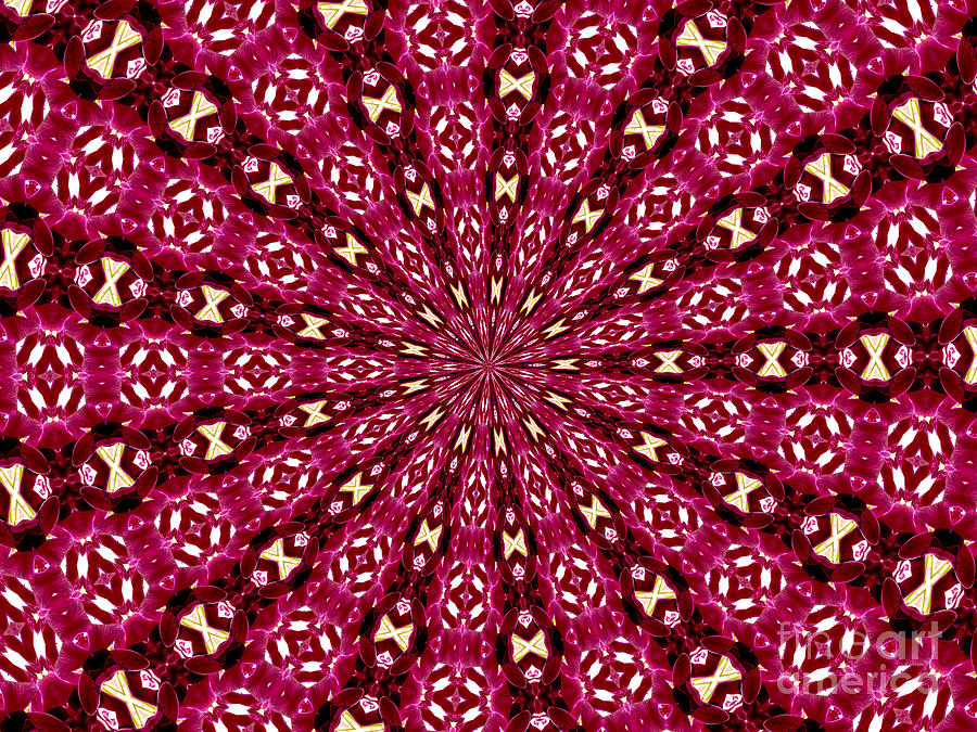 Lacy Orchid Kaleidoscope Photograph by Rose Santuci-Sofranko
