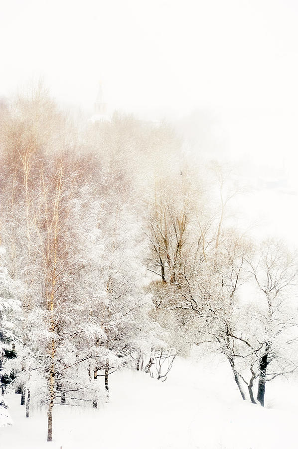 Lacy Winter 1 Photograph by Jenny Rainbow
