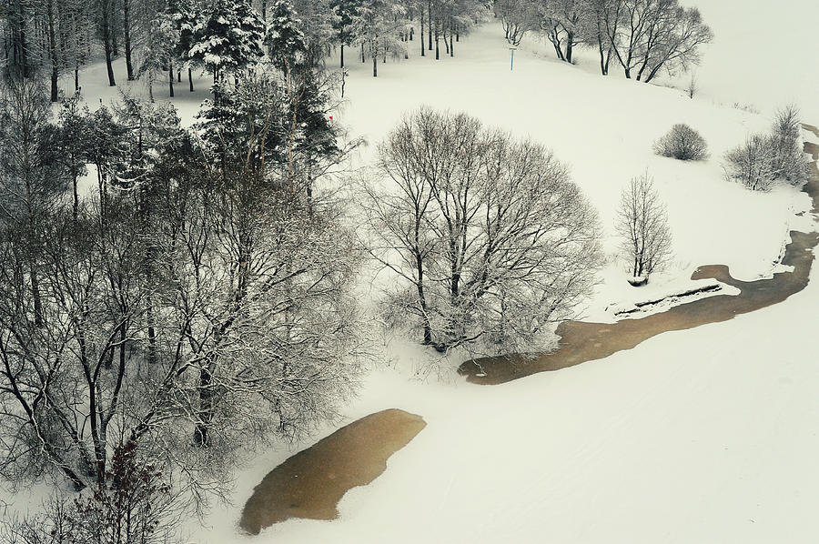 Lacy Winter 5 Photograph by Jenny Rainbow