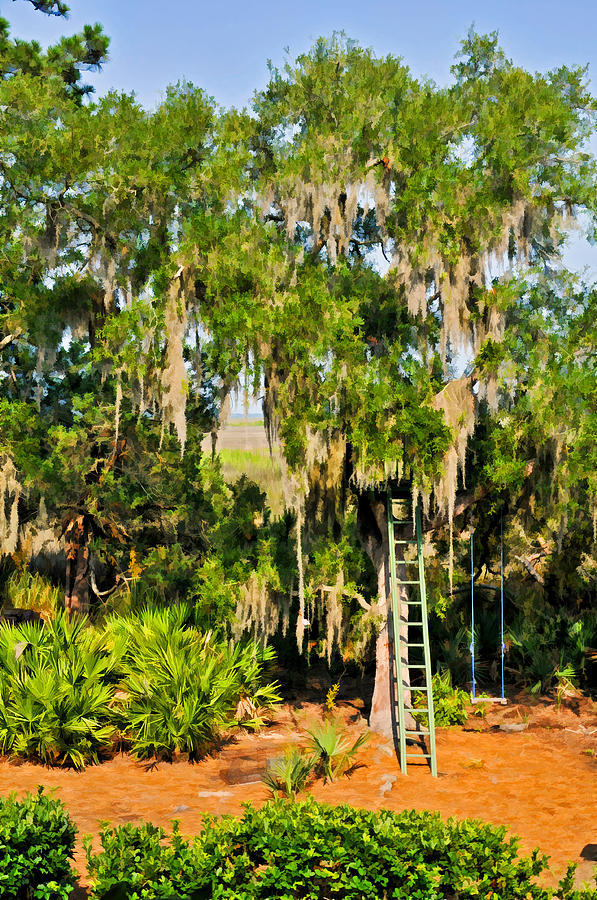 Ladder and Swing in Marsh Garden Photograph by Ginger Wakem