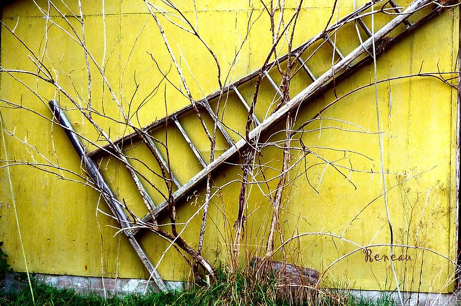 Ladders Photograph - Ladder Art by A L Sadie Reneau