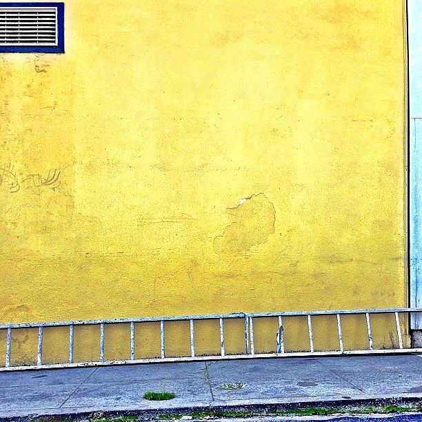 Sanfrancisco Photograph - Ladder by Julie Gebhardt