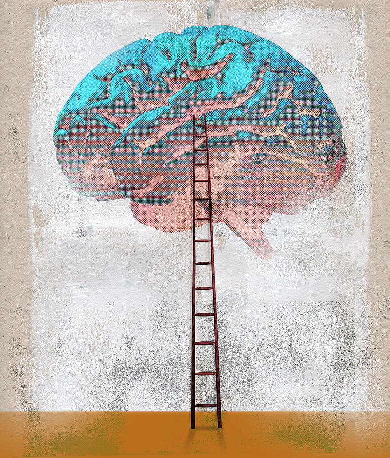 Ladder Leading To Large Brain Photograph by Ikon Ikon Images