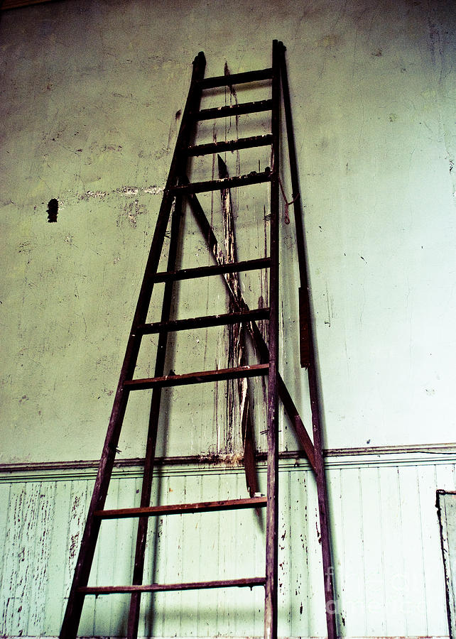 Ladder to Nowhere Photograph by Sonja Quintero