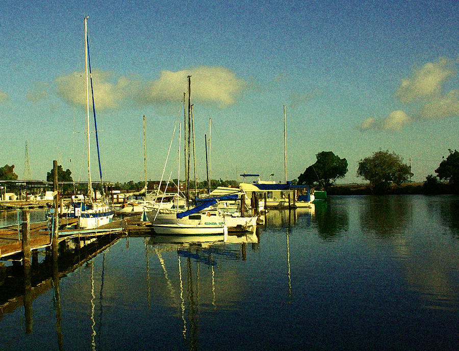 Ladds Marina Photograph by Joseph Coulombe