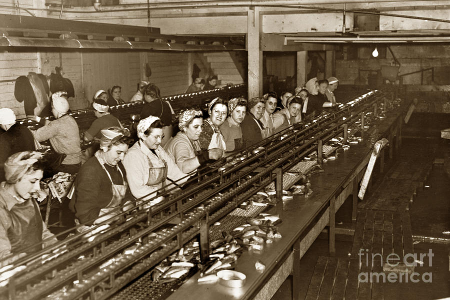 Cannery Row Photograph - Ladies packing Sardines in one pound oval cans in one of the over 20 Cannerys Circa 1948 by Monterey County Historical Society
