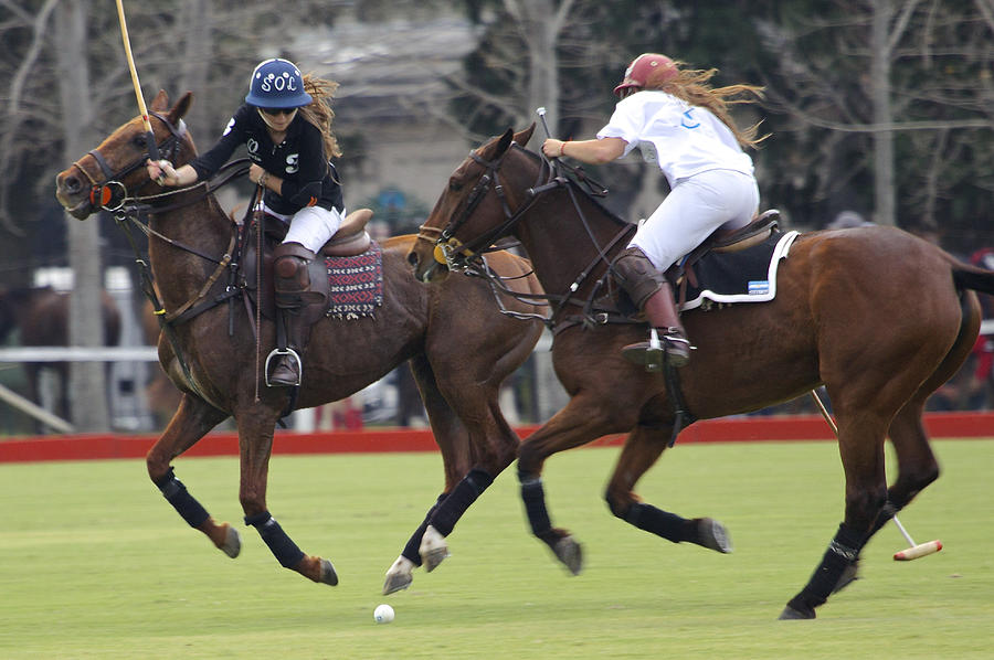 Ladies Polo in Argentina Photograph by Venetia Featherstone-Witty