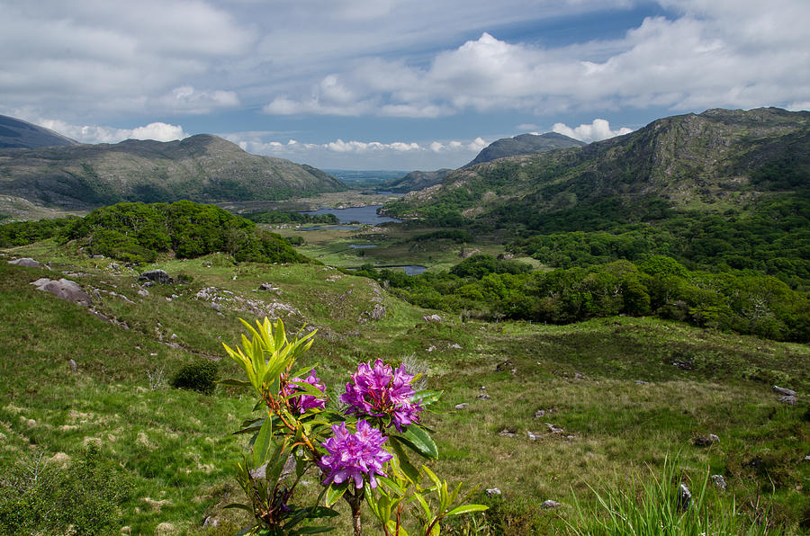 Ladies View Co.Kerry Photograph by Martina Fagan