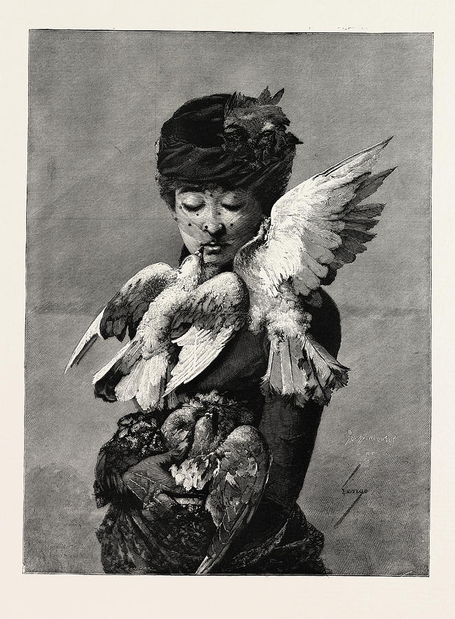 Lady And Pigeons, Fashion Drawing by English School - Fine Art America